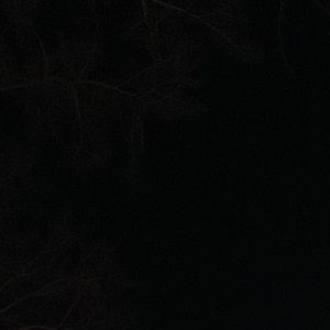 Meet your Posher, Iranell